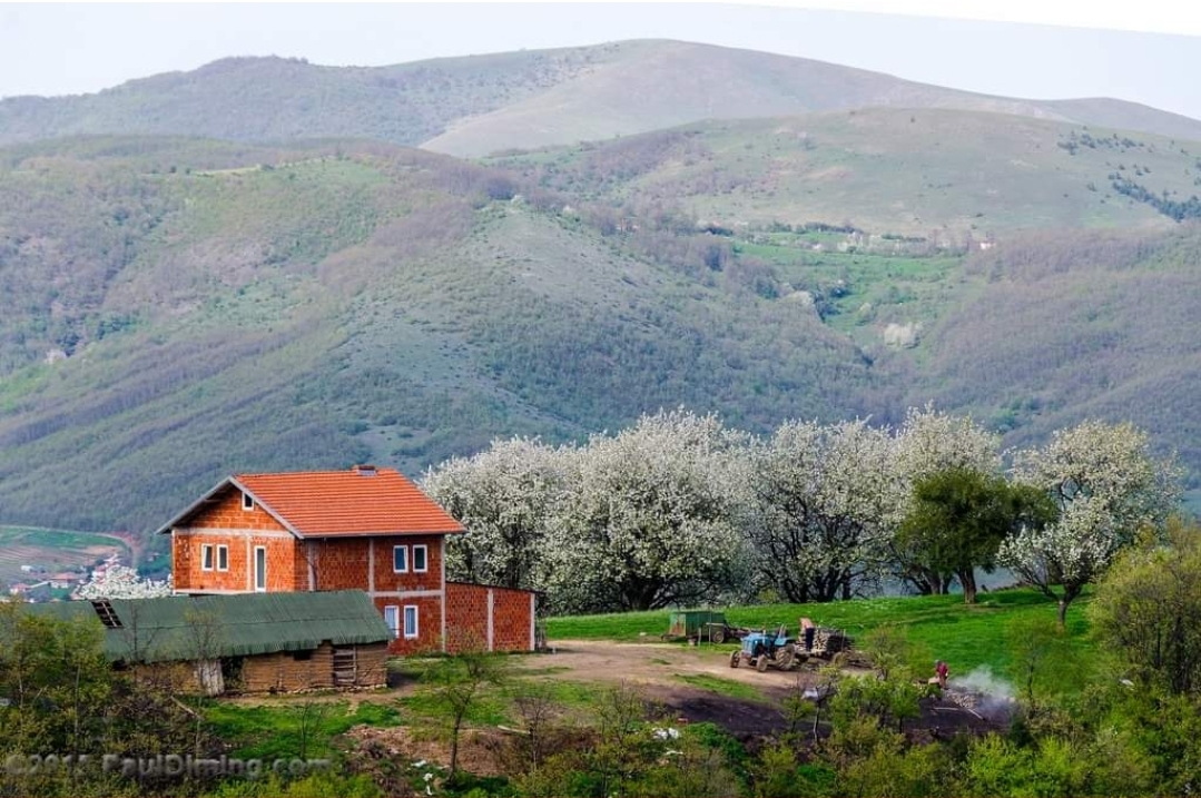 Fshati në Kosovë ku të gjithë banorët e kanë mbiemrin Gashi