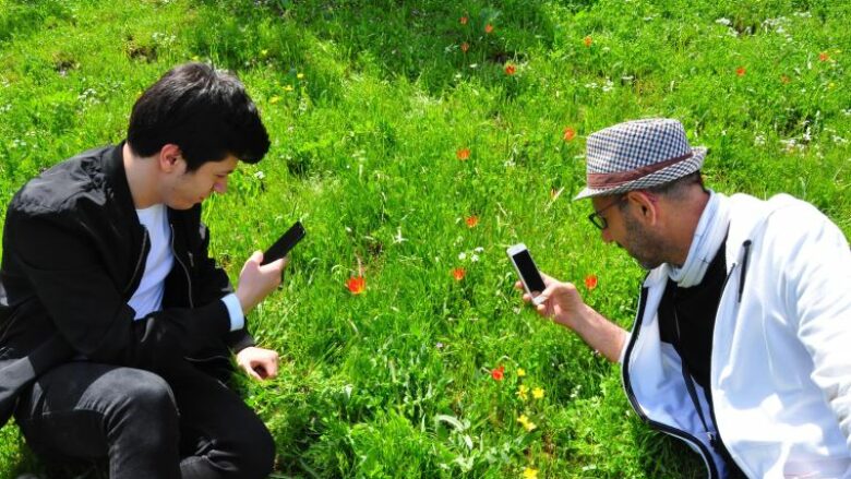 Kushdo që e këput këtë tulipan në Turqi mund të paguajë një gjobë prej rreth 1,800 eurosh!