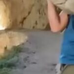 burri-hodhi-gurin-ne-parkun-e-famshem-spanjoll,-mund-te-denohet-me-200.000-euro-gjobe