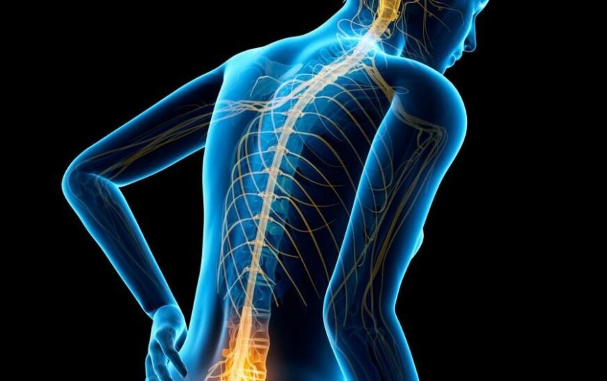 Terapia për dëmtime të palcës kurrizore: Pajisja që rikthen funksionin e krahut dhe dorës