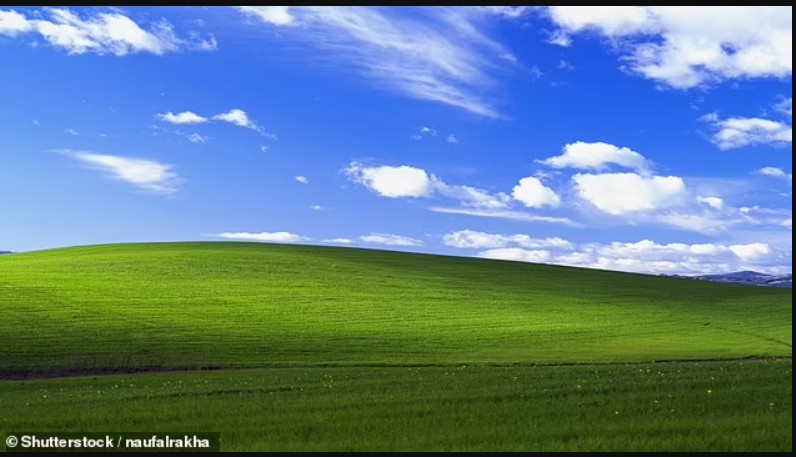 Njerëzit ndihen të pikëlluar kur zbuluan së si duket fotoja më të shikuar e të gjitha kohërave