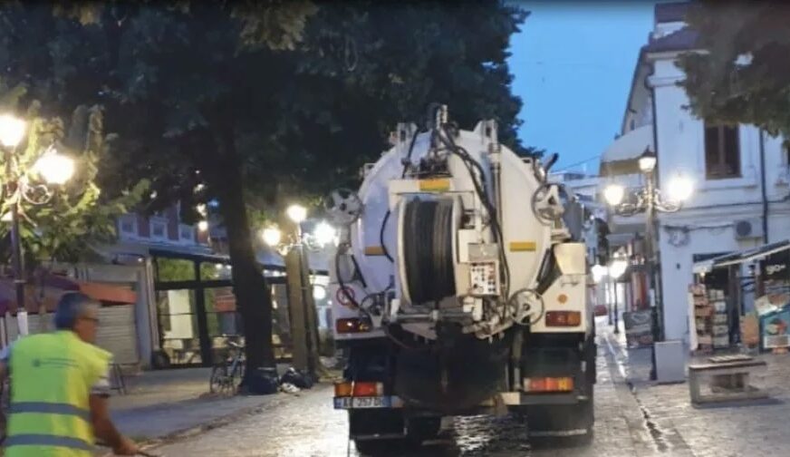 Dezinsektimi në kryeqytet pritet të nisë pas 10 ditësh