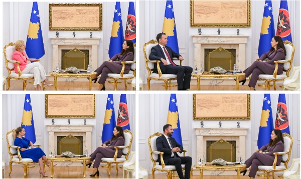 Presidentja u kërkon partive të vogla ta zbatojnë aktgjykimin, një parti e madhe sot çoi kërkesë të re në Gjykatë
