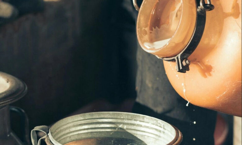 E vërteta rreth vlerave ushqyese të qumështit dhe produkteve tjera natyrale