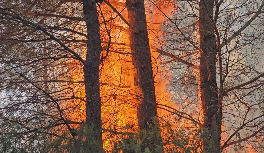 Shqipëria përfshihet nga zjarret – tetë vatra aktive, angazhohen ushtria dhe zjarrfikësit