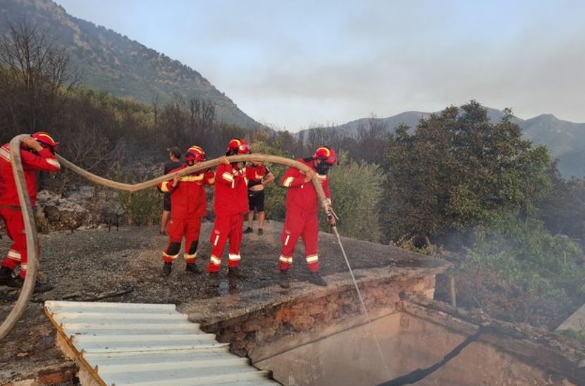 Situatë alarmante me zjarre në Shqipëri, në 24 orët e fundit u regjistruan 29 vatra