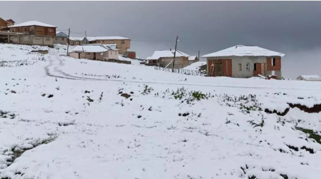 Borë “mes” zjarreve, dy qytete në Turqi ‘zbardhen’ në fillim të korrikut