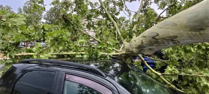 Stuhitë e fuqishme godasin Serbinë – Kaos në Beograd, paralajmërime emergjente