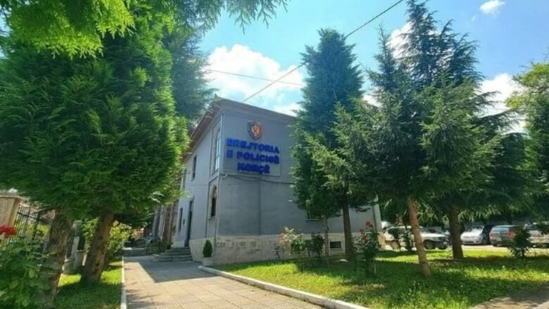 Zbardhet vrasja e 52-vjeçares në Pogradec e cila dyshohet se u qëllua mbi 50 herë me thikë – rrëfimi i të dyshuarit për ngjarjen