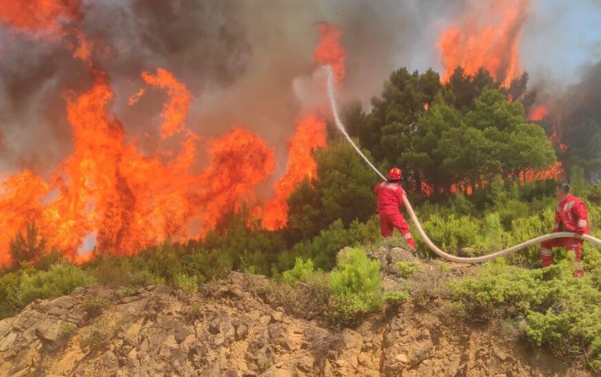 BE-ja i ofron ndihmë Shqipërisë në luftën kundër zjarreve