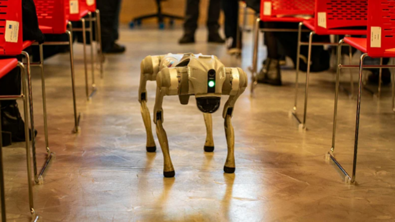 Hong Kongu do të përdorë qen robotë për të luftuar virusin që përhapet nga mushkonjat
