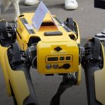 hong-kongu-do-te-perdore-qen-robote-per-te-vrare-mushkonjat-dhe-per-te-parandaluar-perhapjen-e-virusit-chikungunya