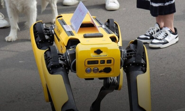 Hong Kongu do të përdorë qen robotë për të vrarë mushkonjat dhe për të parandaluar përhapjen e virusit chikungunya