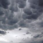 reshje-shiu-dhe-renie-e-theksuar-temperaturash,-parashikimi-i-motit-per-neser