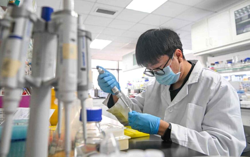 Në garën për të tërhequr mendjet më të zgjuara të botës, Kina po i afrohet ShBA-së