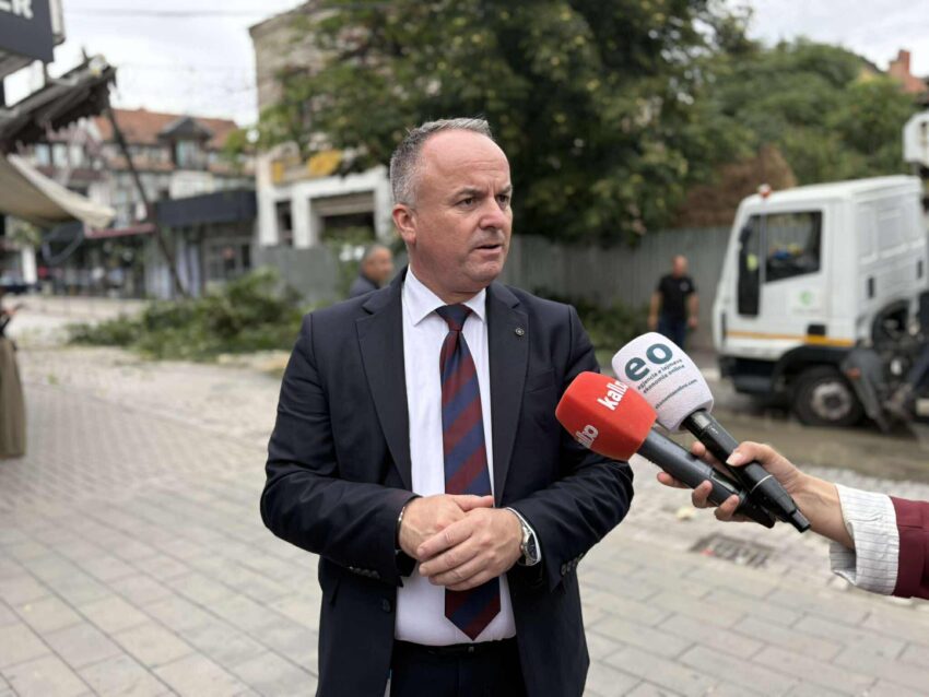 Drejtori i Emergjencave: Pema e rrëzuar ishte rrezik për kalimtarët