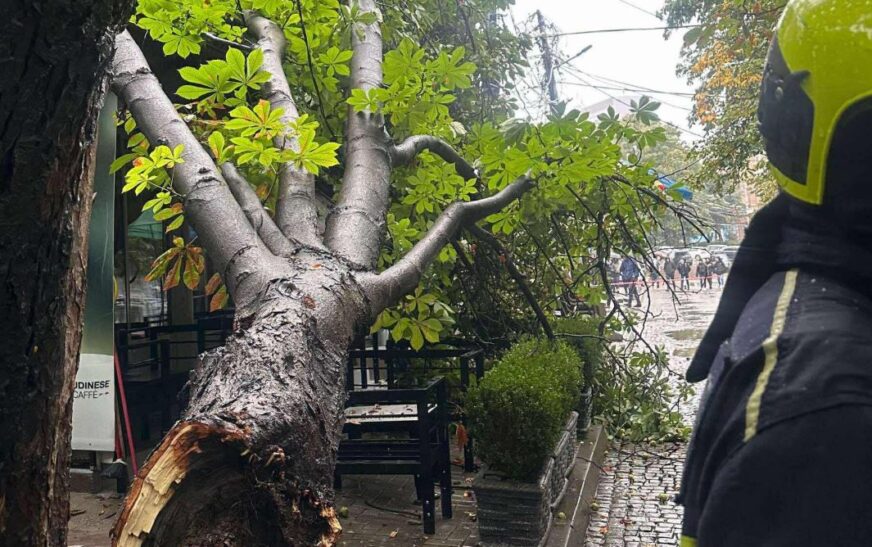 Rrëzohet një lis pranë Tregut të Gjelbër në Prishtinë – zjarrfikësit në terren