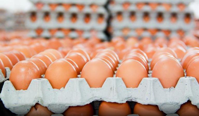 A janë të rrezikshme vezët për zemrën? Ja çfarë thonë studimet më të fundit