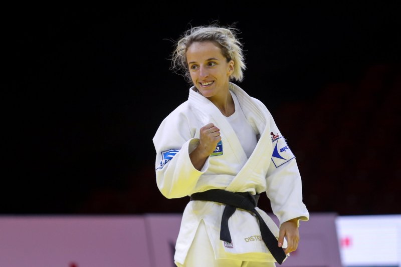 Distria e artë në Kroaci