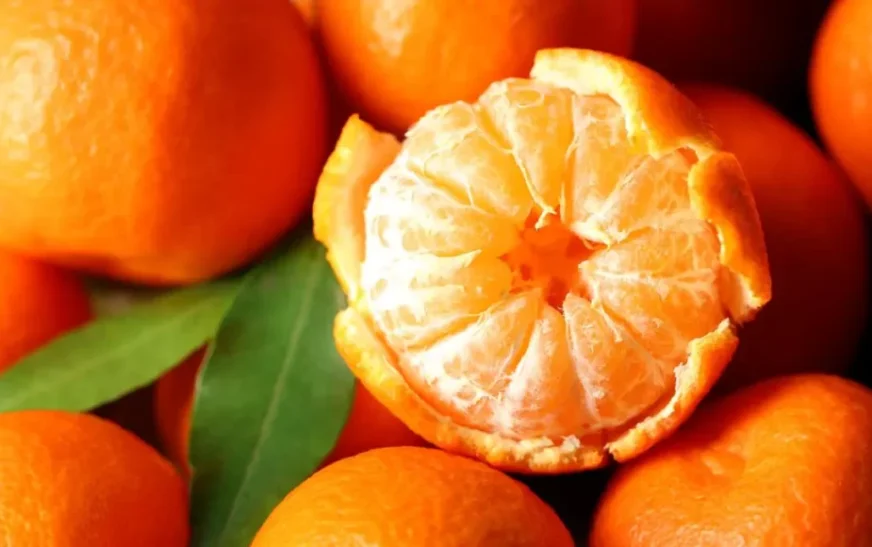 7 ushqime që ndihmojnë kur jeni sëmurë