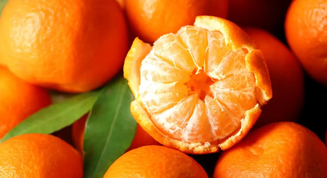 7 ushqime që ndihmojnë kur jeni sëmurë