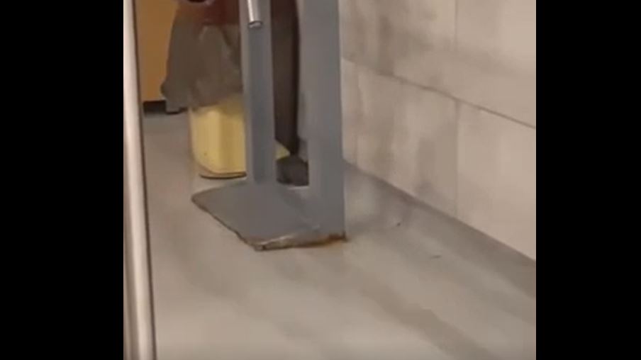 Miu “shëtitet” nëpër Mensë të Studentëve (VIDEO)