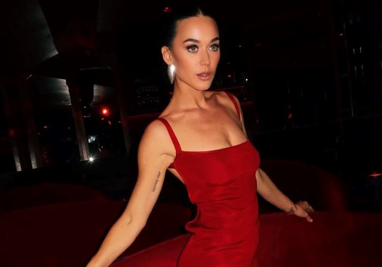 Katy Perry fiton gati 2 milionë dollarë dëmshpërblim, nga gjyqi për shtëpinë milionëshe