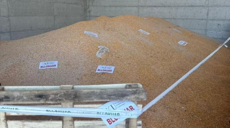 Shqipëria ndalon 51 ton misër nga Serbia, konstatohet prani e substancave kancerogjene