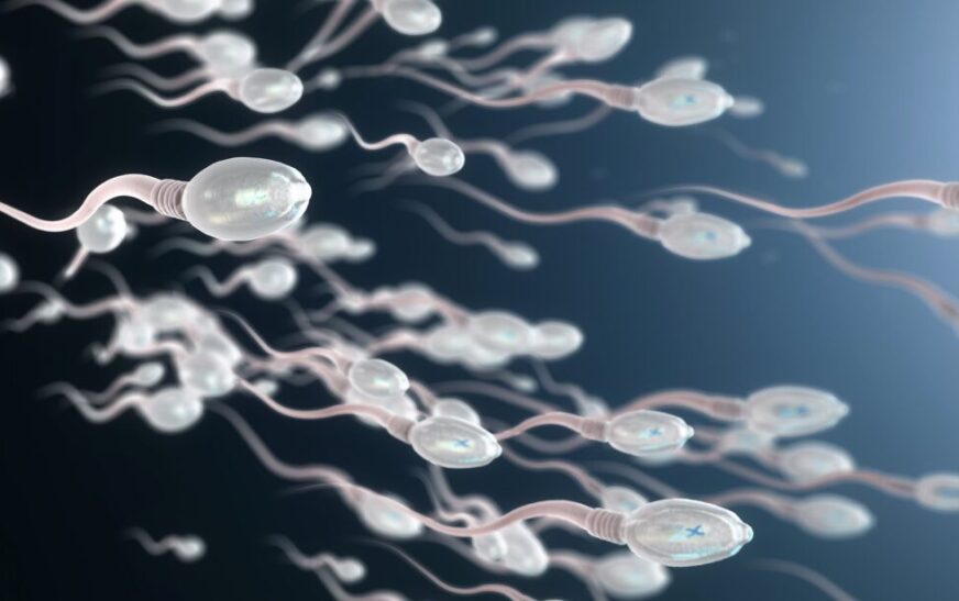 Arrihet shtatzënia e parë me spermë të gjetur nga inteligjenca artificiale