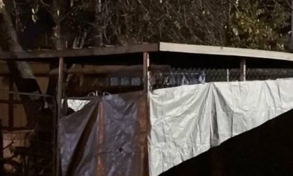 Tronditëse: 22-vjeçarja gjendet e mbyllur në një kolibe qensh, arrestohet gruaja që e kishte birësuar