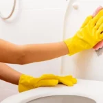 si-te-hiqni-njollat-e-verdha-nga-kapaku-i-tualetit