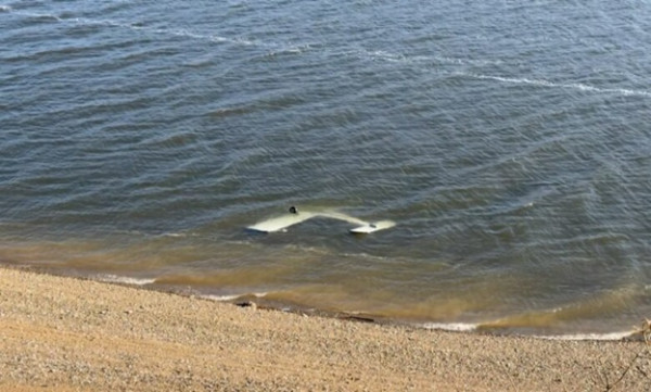 Nisin hetimet për rrëzimin e avionit me dy shtetas të Kosovës, në liqenin e Mavrovës