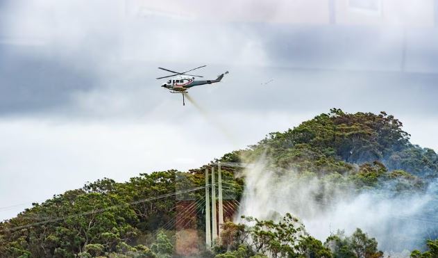 Zjarret në Australi djegin mijëra hektarë, humb jetën një zjarrfikës