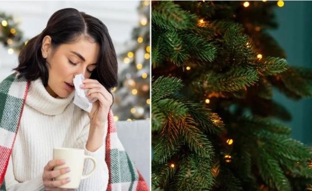 Si pemët dhe dekorimet mund të përkeqësojnë simptomat?