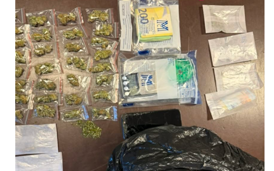 Çka u konfiskua në aksionin e Antidrogës në Suharekë? Policia jep detaje