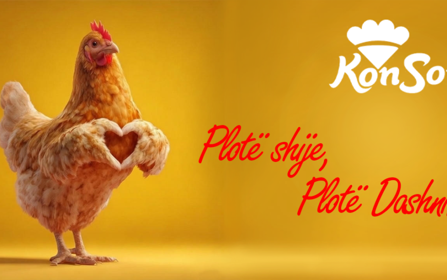 Vezë dhe mish zogu, zgjedhje e sigurt për familjen