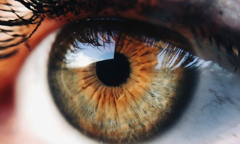 8 problemet shëndetësore që shfaqin simptomat e tyre në sy