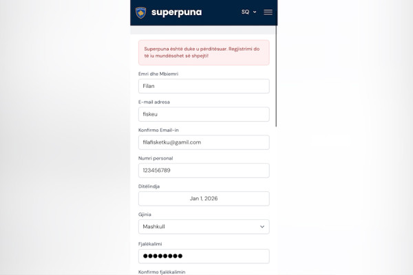Platforma ‘Superpuna’ jashtë funksionit, vonesa dhe paqartësi për bizneset dhe punëkërkuesit