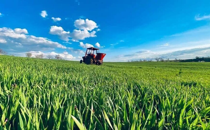 Hapet afati për subvencione në blegtori dhe akuakulturë për vitin 2025