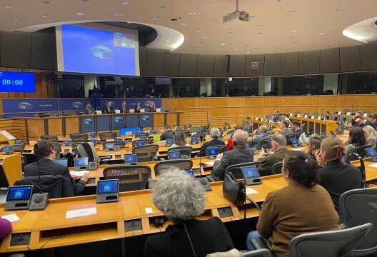 Krimet e përdhunimit gjatë luftës në Kosovë prezantohen në Parlamentin Evropian në Bruksel