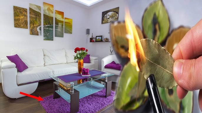 Pesë Gjërat që Duhet të Hiqni Menjëherë nga Shtëpia Juaj sipas Ligjit të Tërheqjes