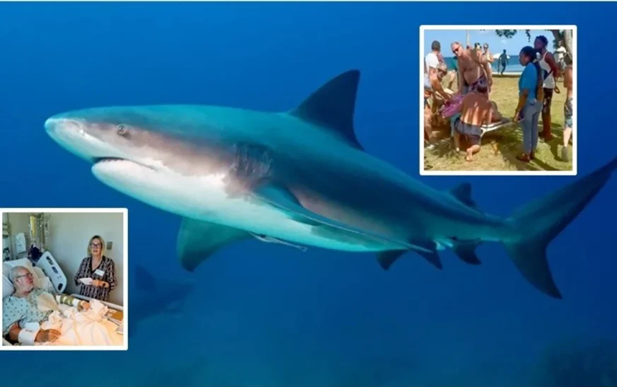 ‘Nuk kam goditur kurrë diçka kaq fort’: Britaniku rrëfen momentin kur u sulmua nga një peshkaqen