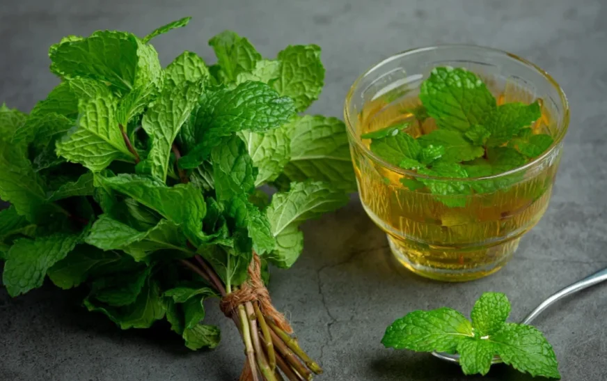 Për aknet hormonale, provoni këtë çaj