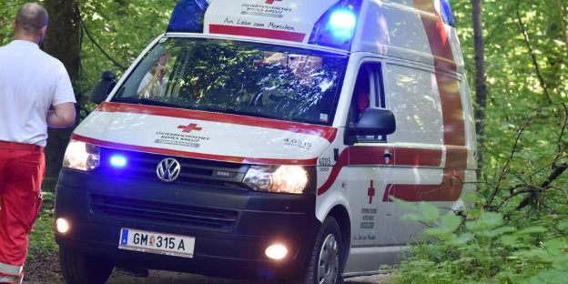 31-vjeçari rrah nënën deri në pavetëdije në Austri