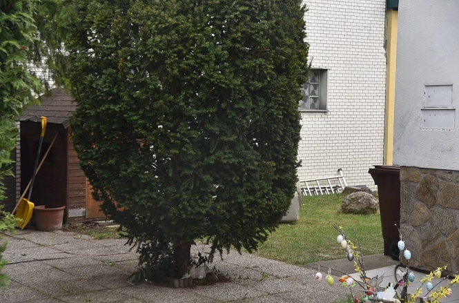 “E urrej atë”, çka deklaroi kosovari që vrau brutalisht ish-gruan në Austri