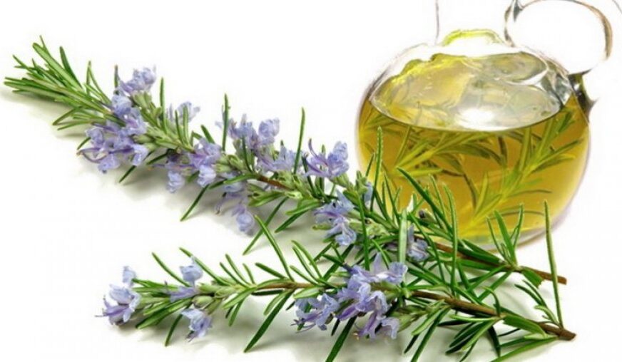 Çaji më i mirë shtëpiak për dobësim