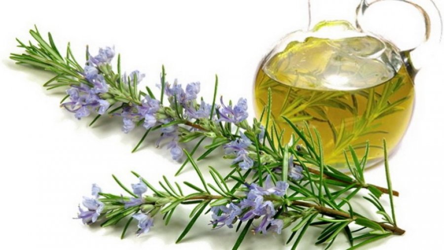 Çaji më i mirë shtëpiak për dobësim