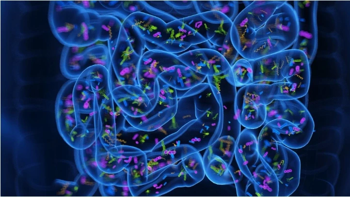 Mikrobet e zorrëve mund të zbulojnë rrezikun e sëmundjes së Parkinsonit