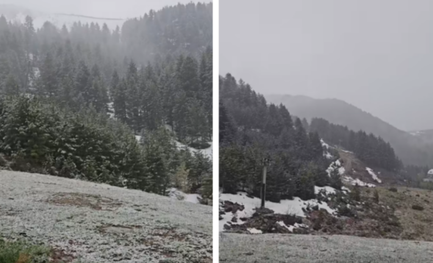 Bora zbardh Brezovicën, pamje
