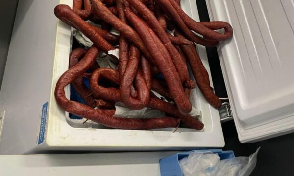 Stuttgart: Në autobusin nga Kosova, doganierët gjejnë 250 kilogramë suxhuk, cigare dhe një qenush